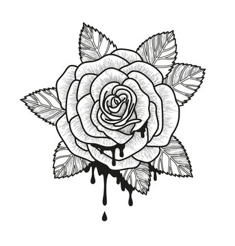 Rose flower monochrome vector illustration. Beautiful rose isolated on white background. Element for design of tattoo