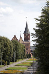 Fototapeta na wymiar Kaliningrad. Cathedral