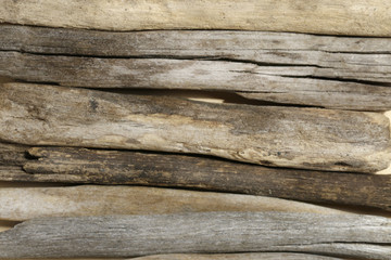  sea snag texture background. Driftwood. Marine items on driftwood