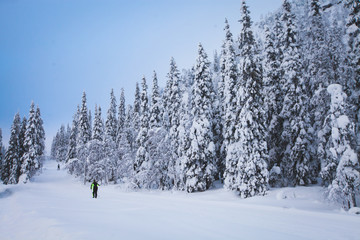 Fototapeta na wymiar Beautiful cold mountain view of ski resort, sunny winter day with slope, piste and ski lift 