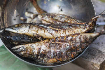 Grilled mackerel, selective focus