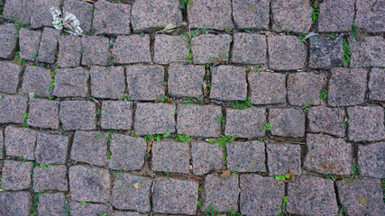 Magenta paralelepipid stones
