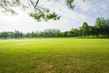 Scenery green golf  and meadow at the park