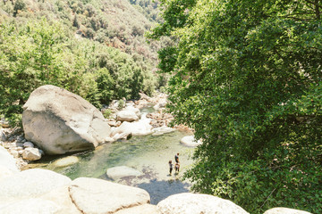 Sequoia National Park 6