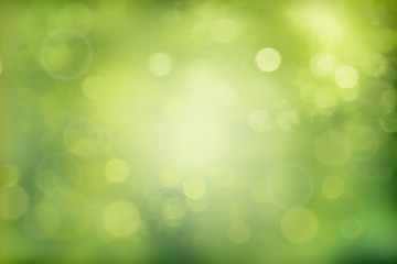 Obraz premium Colorful summer or spring backgound blur.