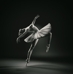 Beautiful ballerina - obrazy, fototapety, plakaty