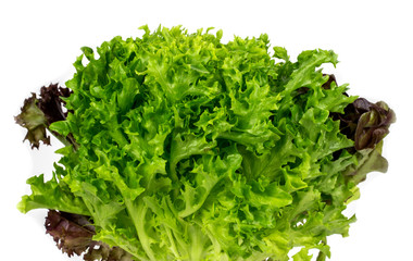 Fototapeta premium Arugula on white background