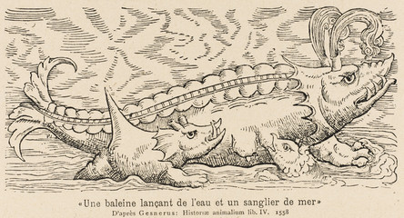 Fototapeta premium Spouting Whale-Fish. Date: 1558