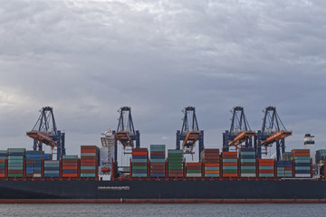 Fototapeta premium container harbour 