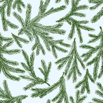 pattern of the fir branches