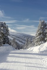 Fototapeta na wymiar Forest road in Winter in Sälen - Sweden.