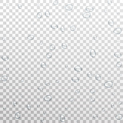 Water drops background. Realistic vector water droplets isolated on transparent background