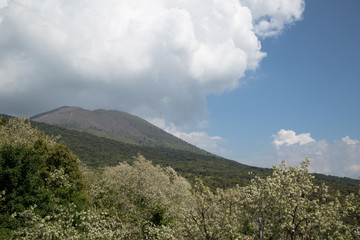 Fototapeta na wymiar Vesuvio, primavera