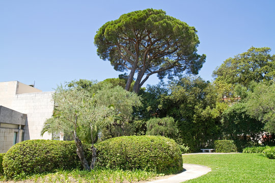 Musée National Marc Chagall, Nizza