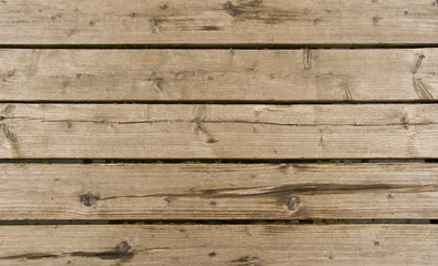 Wood panel background of natural wood