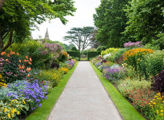 Path and flowers