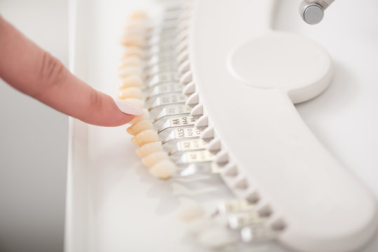 Dentist demonstrating typodont in room