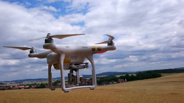 Drone flight over wheat field. Ripe cereals before harvest. New tool for farmers use drones to inspect of cultivated fields. Modern technology in agriculture. 