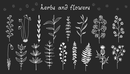 Botanical doodle illustration, vector set with drawn leaves, herbs and flowers, floral collection isolated on black background