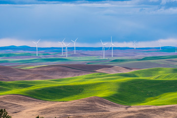 Palouse Wind Turbines. Amazing green hills. Steptoe Butte State Park, Eastern Washington, in the northwest United States.