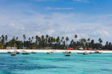 Fototapeta na wymiar Zanzibar landscape