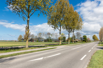 Dutch country road with farmhouse and trees in spring time
