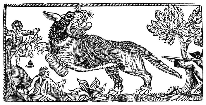 Bete Du Gevaudan - Devigne. Date: 1767