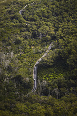 Straße im Regenwald