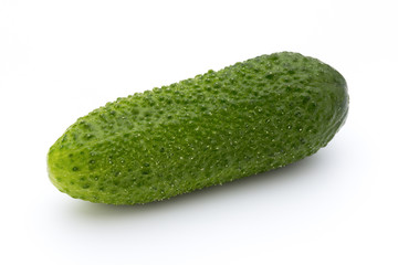 The first spring ecologically cucumbers.