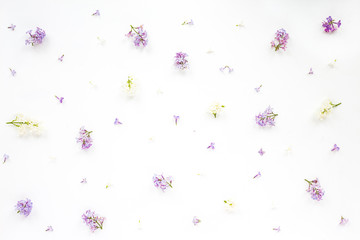 Flowers background. Lilac flowers on white wooden background. Top view, flat lay, copy space