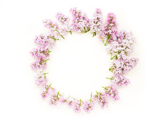 Flowers background. Wreath made of lilac flowers on white background. Top view, flat lay, copy space