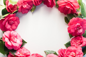 Close up high angle view of red camellia japonica blossom wreath on white background - obrazy, fototapety, plakaty