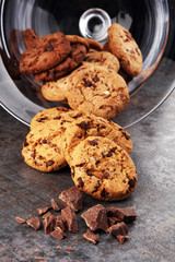 Chocolate cookies on white background. Chocolate chip cookies sh