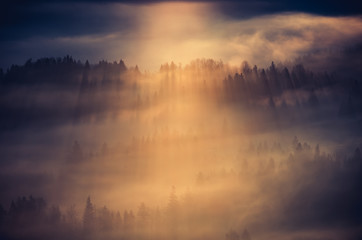 Misty forest landscape, panorama of Carpathian mountains in Poland