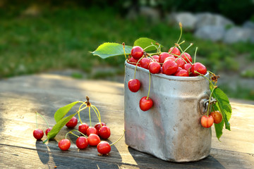 Fototapeta na wymiar Fresh organic cherries in metal can on wooden table background with sun lights