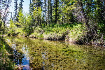 Griffith Woods Park