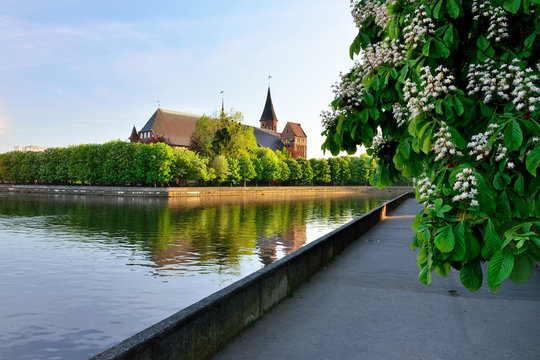 Konigsberg Cathedral on Kneiphof island. Kaliningrad, formerly K