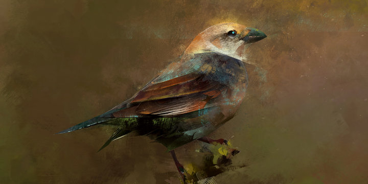 Painted scenic bird sitting on a branch