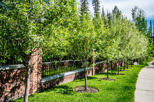 Griffith Woods Park