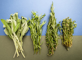 Fresh Rosemary, thyme, tarragon and sage on a light blue-green textured textured background.