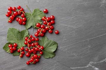 Fresh ripe red currant with leaves on gray stone background