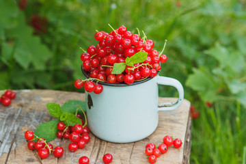 Metal mug with red currant on the table, soft focus background