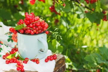 Metal mug with red currant on the table, soft focus background