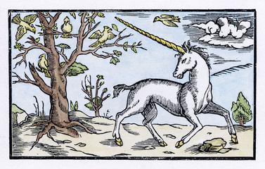 Cosmographia Unicorn