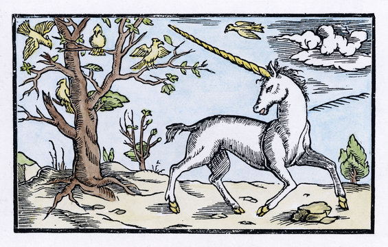 Fototapeta Cosmographia Unicorn
