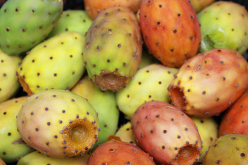 Fresh prickly pears remembering the taste of summer 