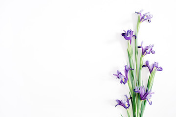 Beautiful purple iris flowers on white background. Flat lay, top view