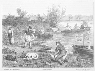 Swan-Upping - Robertson. Date: 1873