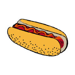 hot dog fast food unhealthy delicious vector illustration