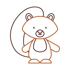 Animal squirrel cartoon icon vector illustration design graphic